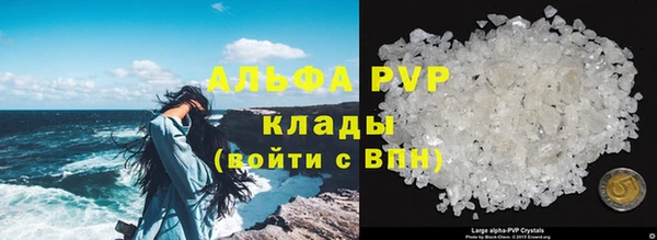 стафф Ладушкин