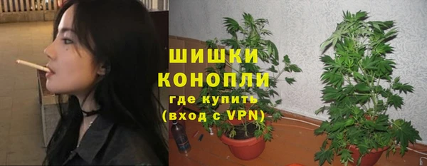 стафф Ладушкин