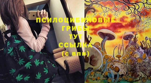 стафф Ладушкин