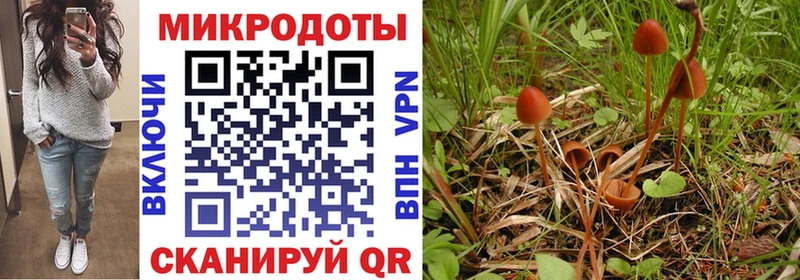 Псилоцибиновые грибы Magic Shrooms  Купить где  Минеральные Воды 